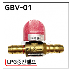 LPG중간밸브 - 20. GBV-01